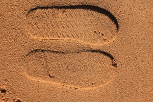 Nelson - Abel Tasman NP-057